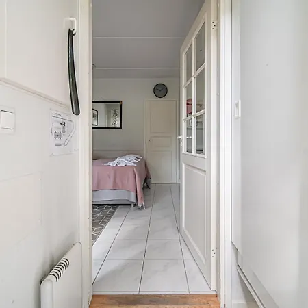 Starveil 104 Center By Aavalevi Daire *